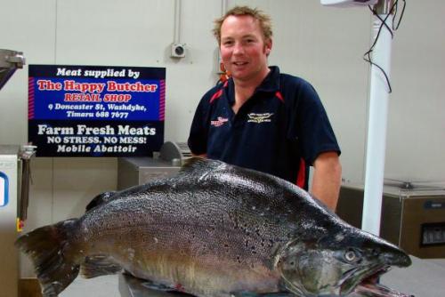 trout trouts new zealand canada us california  world record biggest fish in the world ever caught big huge fishes records largest monster fishing giant size images pictures freshwater river sea.jpg
