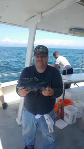 Sea Bass (2) - Offshore Ocean City - 17Jun17.jpg