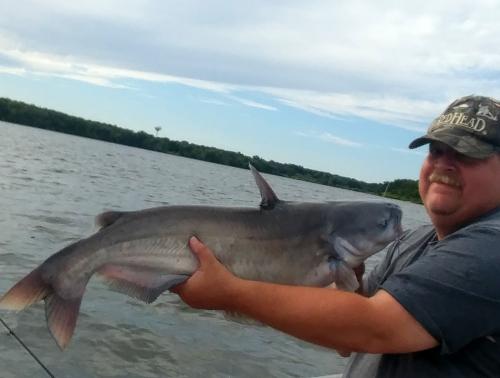 Blue Catfish 30 inches (1) - Little Dixie - 25Jun17.jpg