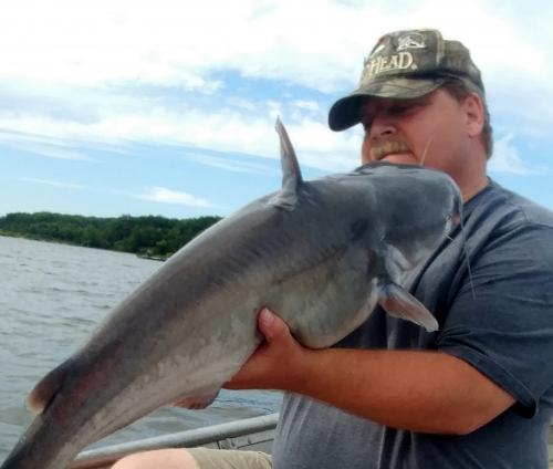 Blue Catfish 30 inches (3) - Little Dixie - 25Jun17.jpg