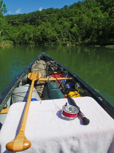 View-from-the-boat.jpg