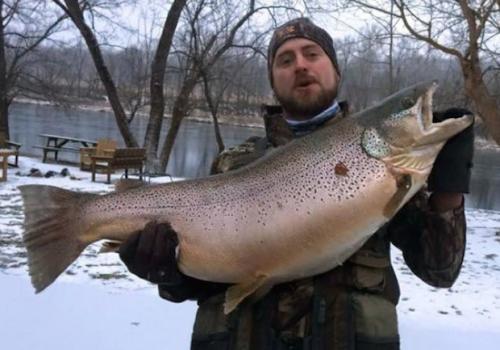 trout.jpg