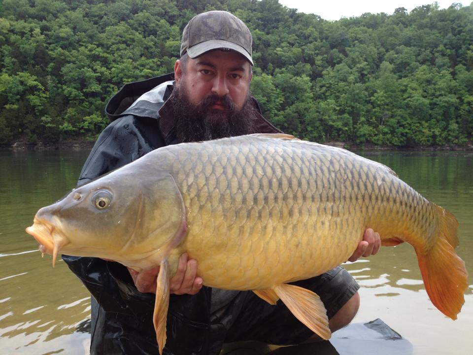 Big Fish Don't Come Easy! - Carp, the Other White Meat