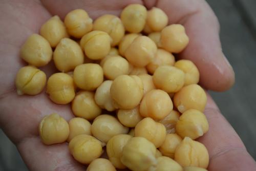 Chickpeas.jpg