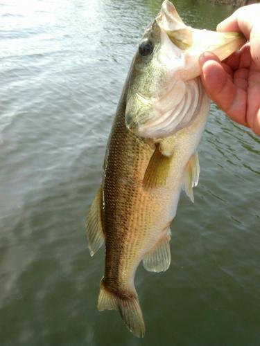 smallkeeper72617.jpg