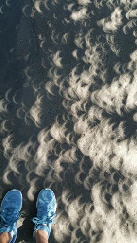 Eclipse Shadows (2).JPG