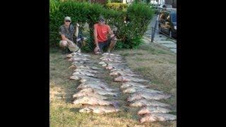 Bowfishing 523 pounds of fish in 4hours!.jpg