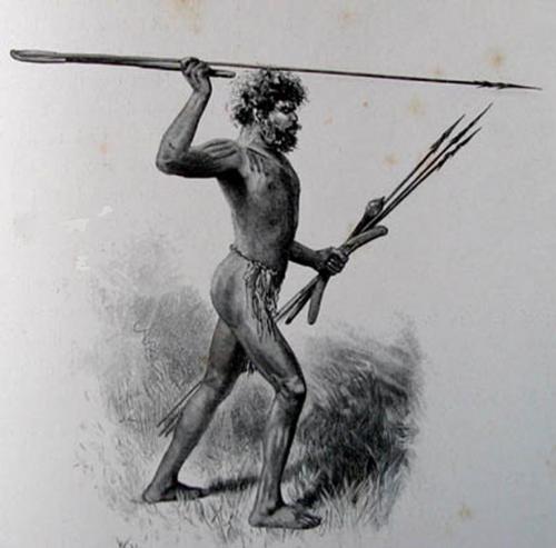 Aboriginal_Warrior.jpg