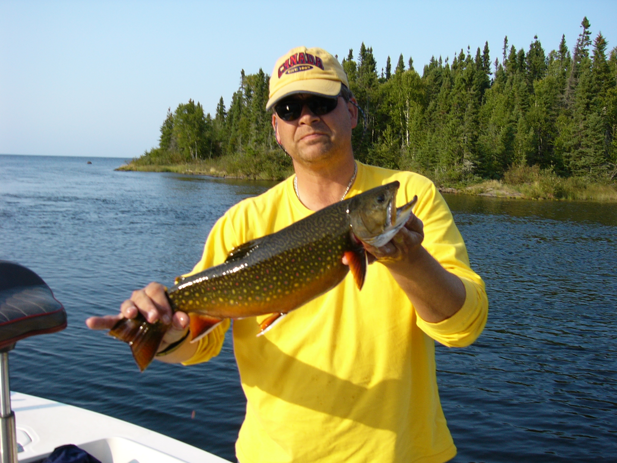 Big brown trout, Arctic char, brook trout lake trout and northern pike ...