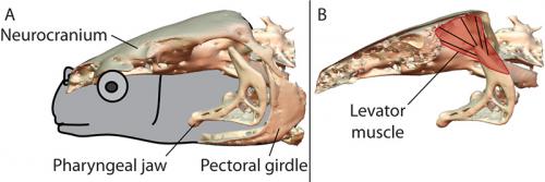 figure-1.jpg