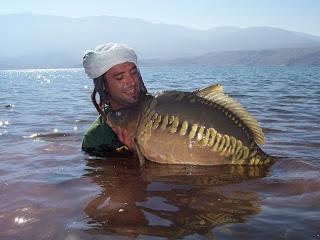 35lbs mirror shines in the morning sun.JPG