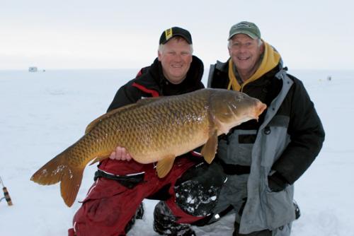 Ice-Carp-In-Fisherman.jpg