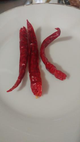 Thai peppers.jpg