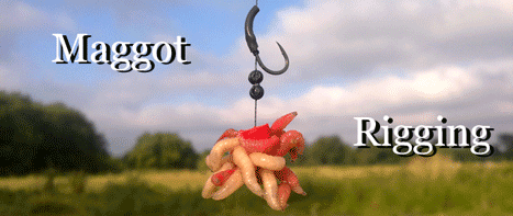 maggot-rig2.gif