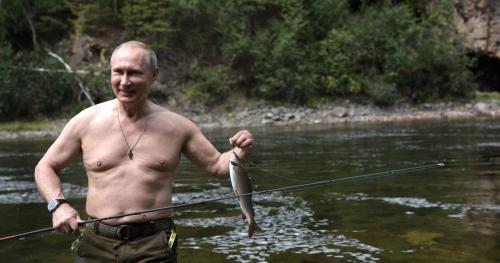 putin.jpg_673822677.jpg