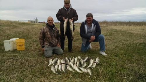 walleye nd.JPG