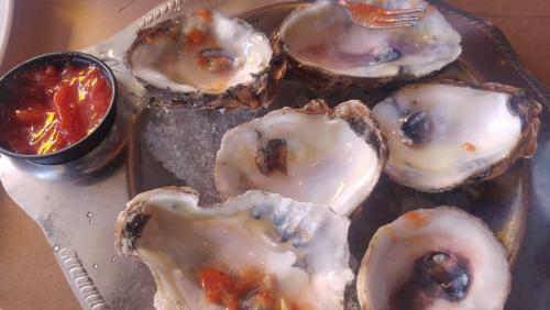 Rehoboth Oysters.jpg