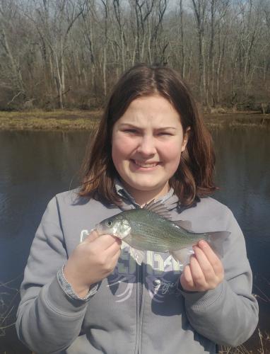 Livies 1st white perch 25Mar18.jpg