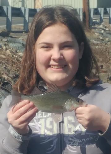 Livie white perch Tuckahoe 25Mar18.jpg