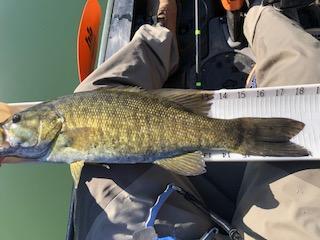 4.30.18 Smallie 1.jpg