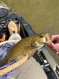 4.30.18 Smallie 2.jpg