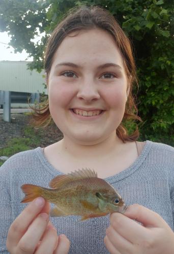 Livie s first redbreast sunfish - Tuckahoe creek - 04Jun18.jpg