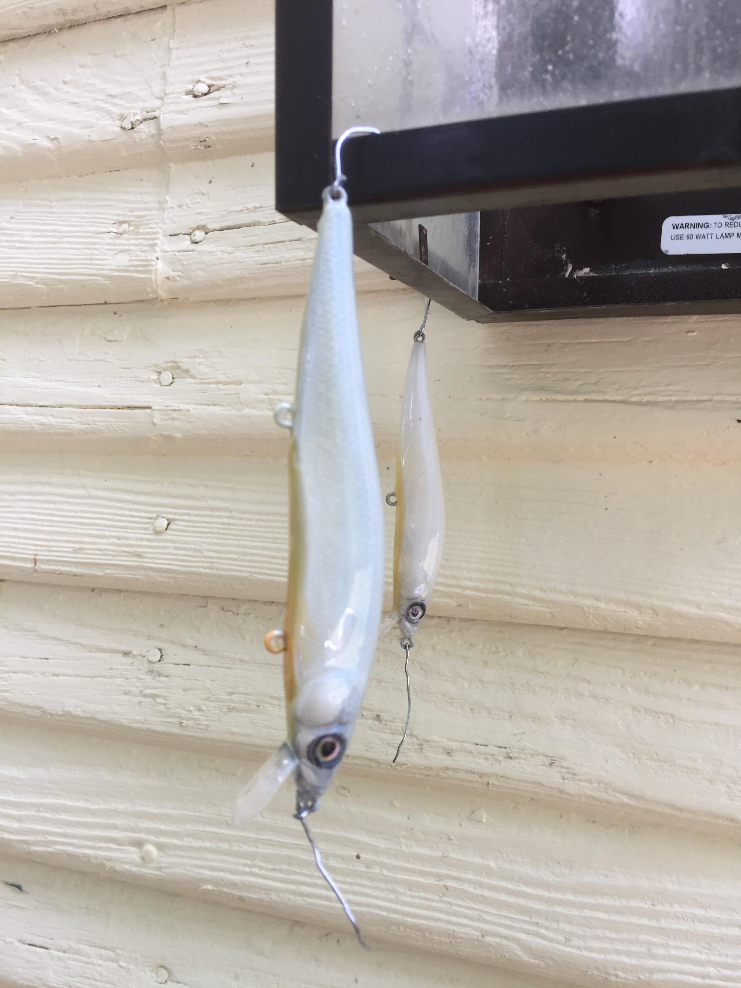 Painting jerkbaits for big trout - Lake Taneycomo - OzarkAnglers.Com Forum