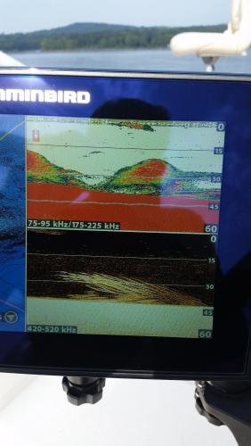 20180824_094251[1].jpg