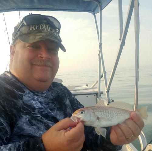 Atlantic Croaker - 17Aug18 (2) -resized.jpg