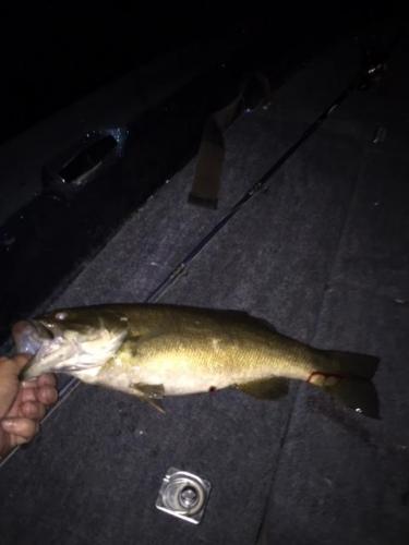 8-28-18-1.JPG