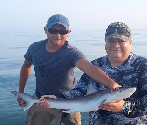 Atlantic Sharpnose Shark (4) - 17Aug18 - resized.jpg