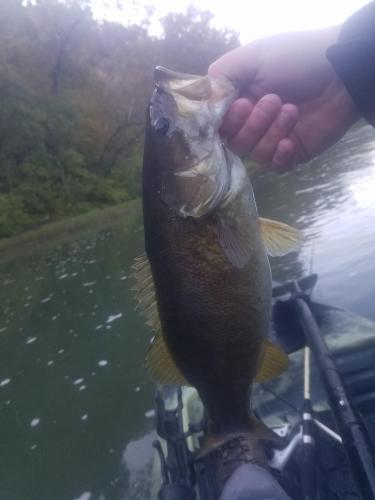 20181020_092237.jpg