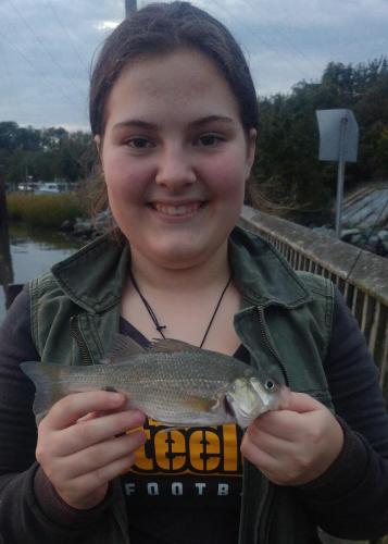 Livie White Perch - Oak Creek 04Oct18.jpg