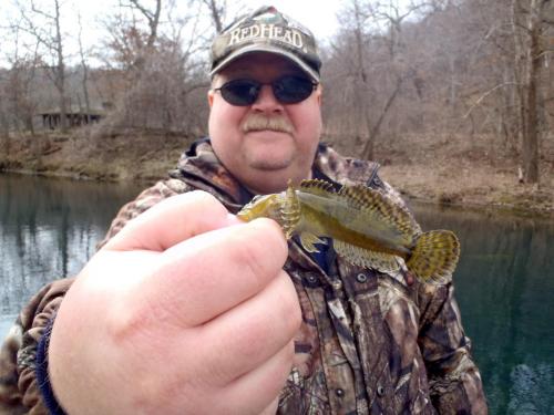 Dad's Prize sculpin Bennett's 10Mar15.JPG