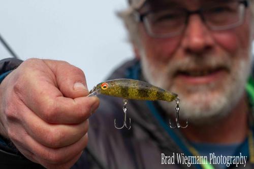 sculpin.jpg