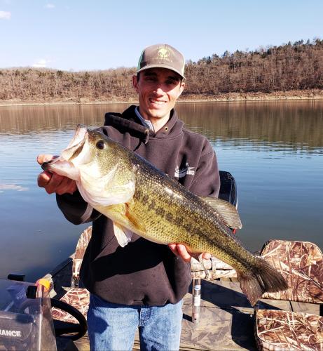 Bull Shoals Bass.jpg