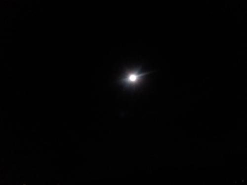 20190517_222330.jpg