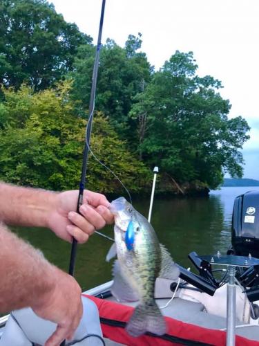 Trolling crappie.JPG