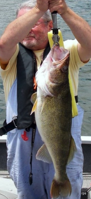 randy holding walleye.png