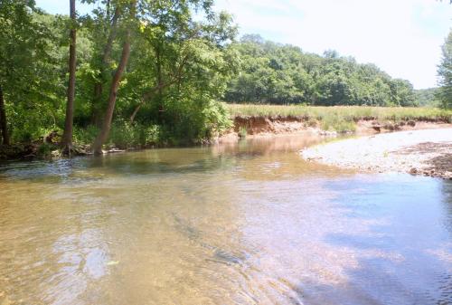 Barren fork downstream 14Jun14.JPG