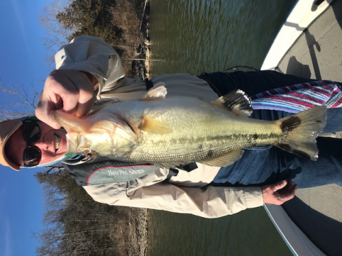 Largemouth Bass Feb 2nd 2.png