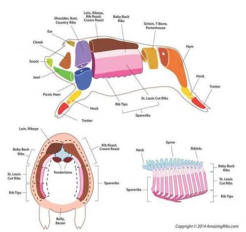 pork-cuts.jpg