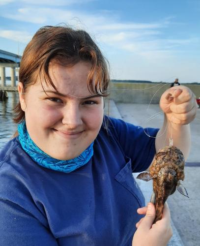 Livie Oyster toadfish - Choptank Rvr - 18Aug20.jpg