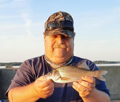 White perch - Choptank Rvr - 18Aug20.jpg