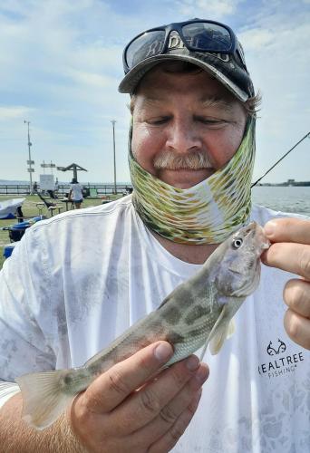 Southern Kingfish (2) - Kitopeke St Park Pier - 23Aug20.jpeg