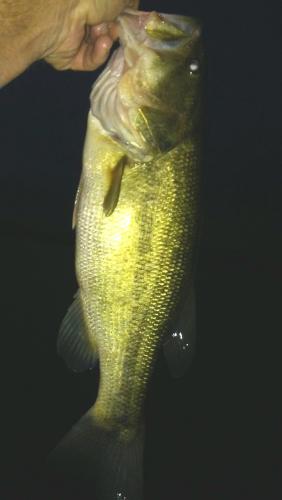 20200902_112500.jpg