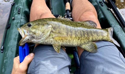 smallmouth.jpg