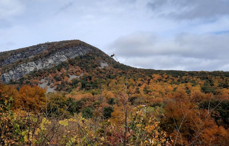 Delaware Water Gap 2 - 20Oct20.jpg