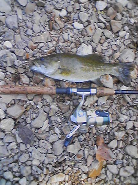 2nd S-Bend smallmouth.JPG