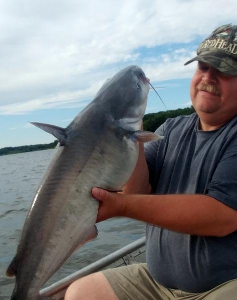 Blue Catfish 30 inches (4) - Little Dixie - 25Jun17.jpg